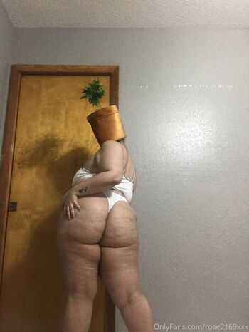 kushunlimited