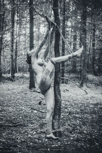 Kvlt_of_k