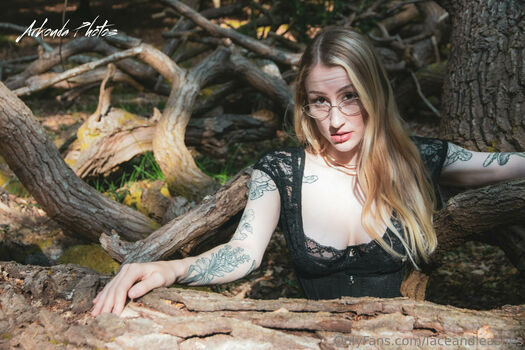 laceandleashes
