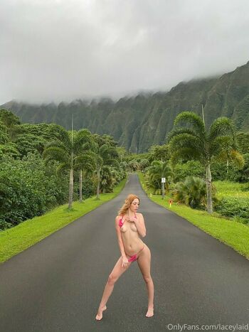 Lacey Laid