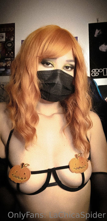 lachicaspider