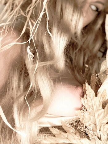 Lady Willow Wood