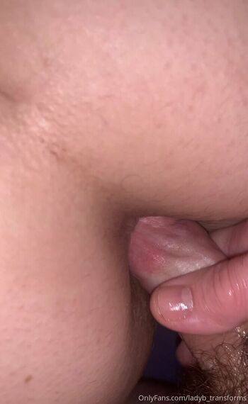 ladyb_transforms