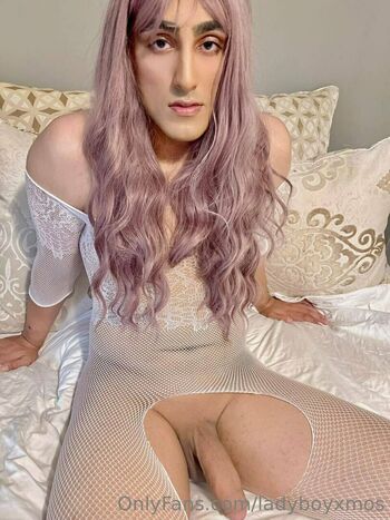 ladyboyxmos