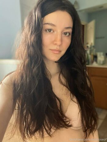 lanaroze