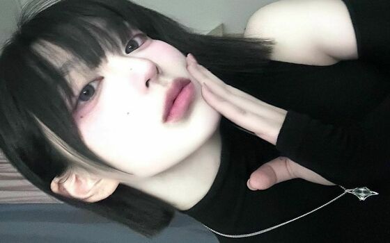 latulip_0