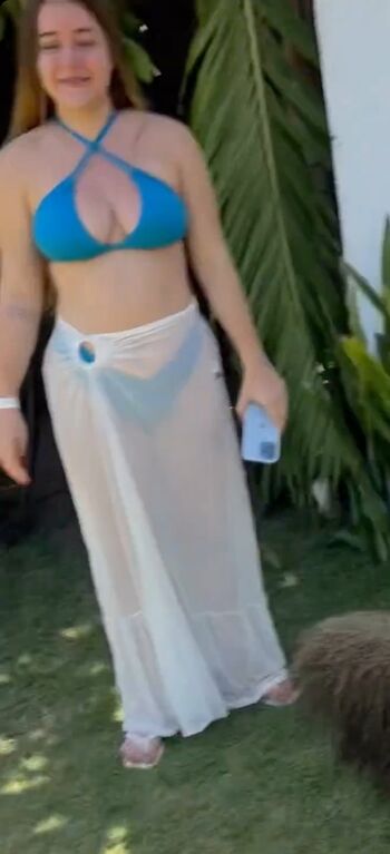 Laurinhafeer