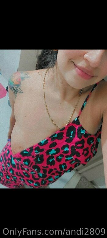 laveci28