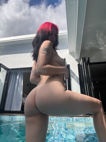 lavenderhayz