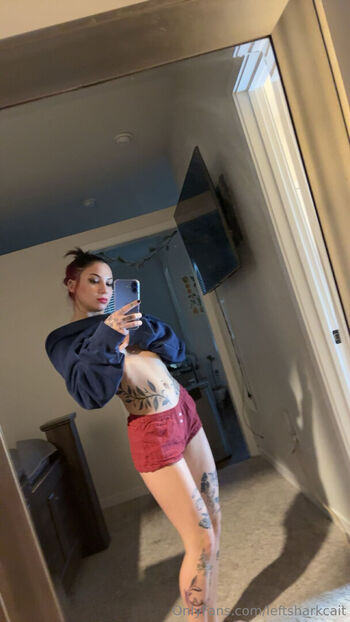leftsharkcait