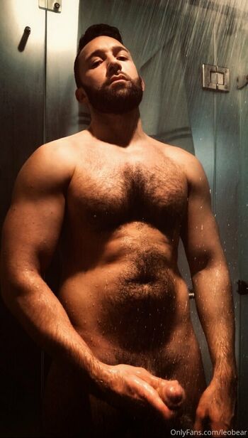 leobear