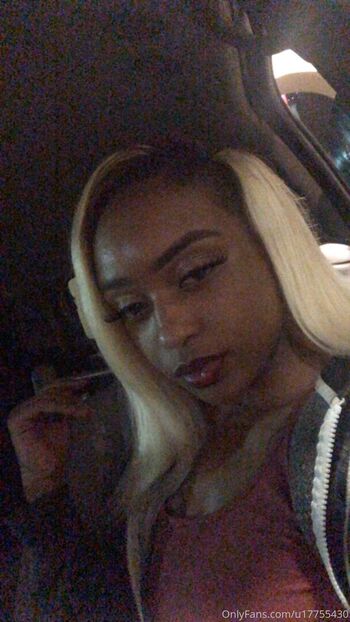 lexbagz