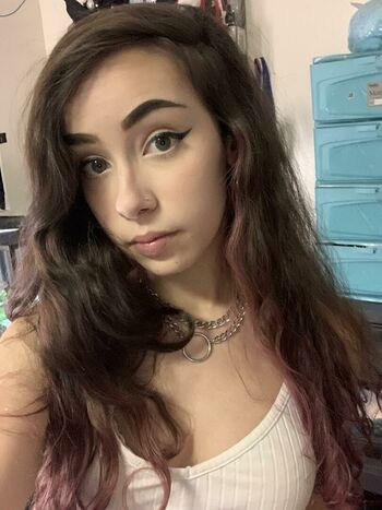 Lexi Lynx