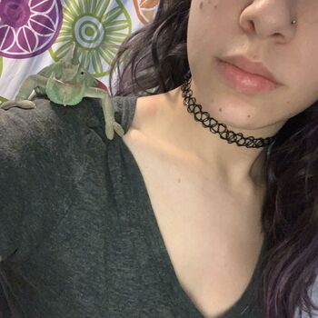 Lexi Lynx