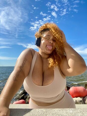 lexilaflarexo