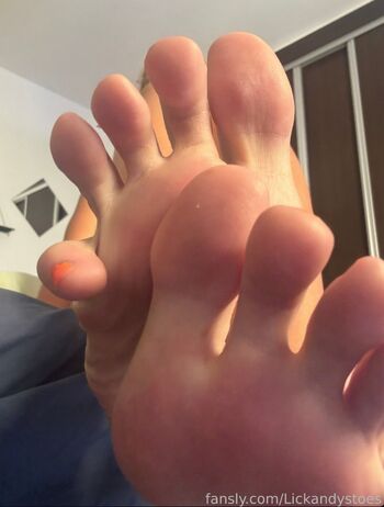 lickandysoles