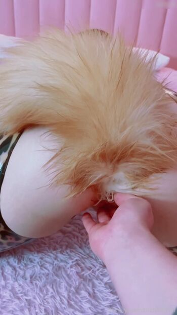 Lilslvkitten