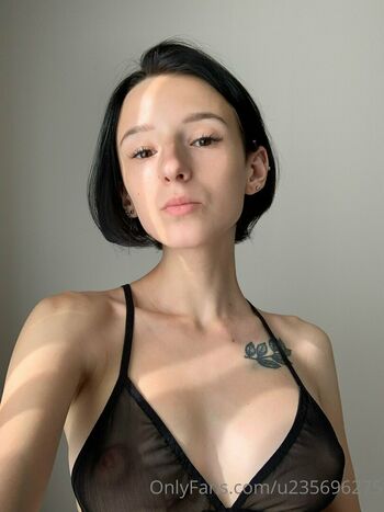 lily_shine