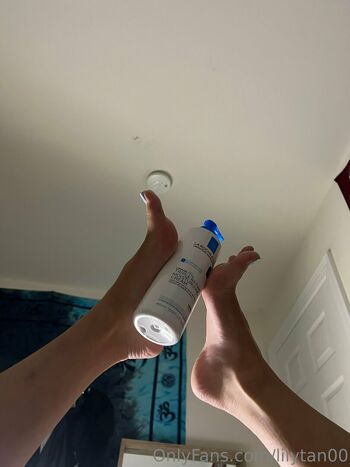 lilytan00