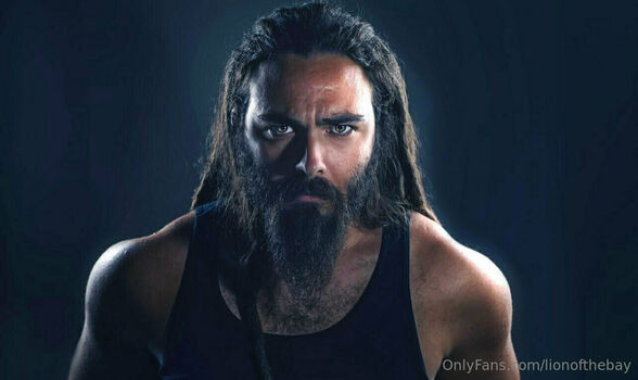 lionofthebay