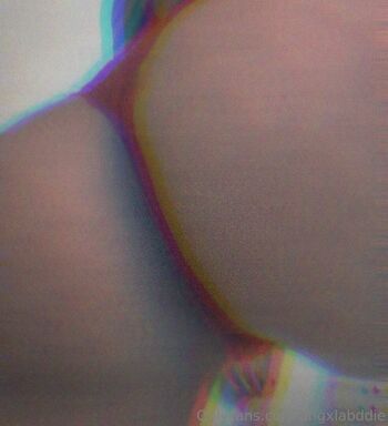 little.bddiee