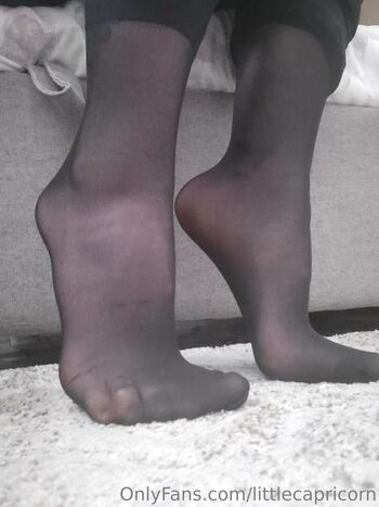littlecapricorn