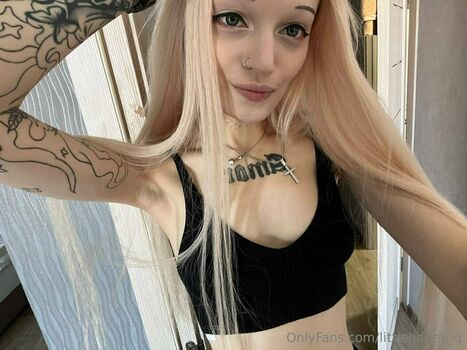 littleharley_q
