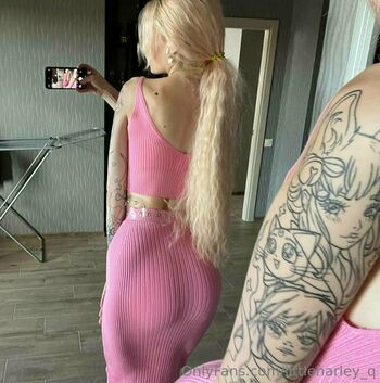 littleharley_q