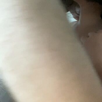 Littlelanacat
