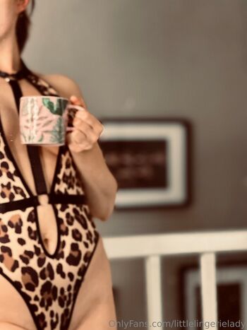 littlelingerielady