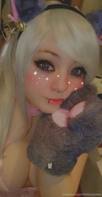 littlescarefox