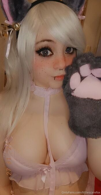littlescarefox