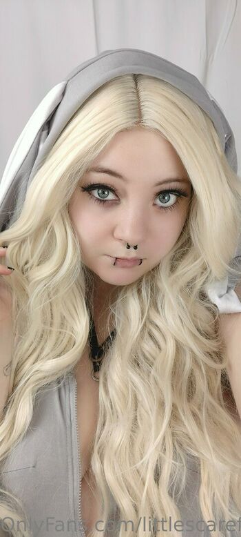 littlescarefox