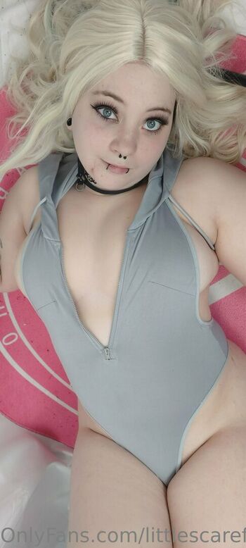 littlescarefox