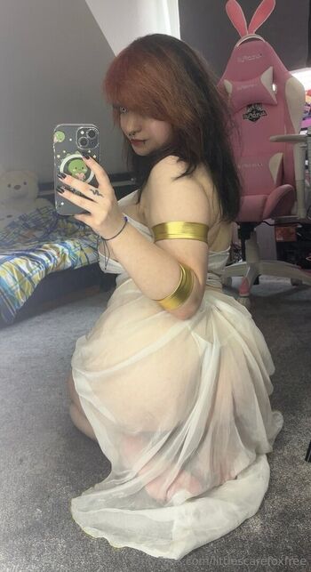 littlescarefoxfree