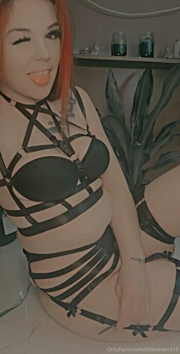 littlevixen97