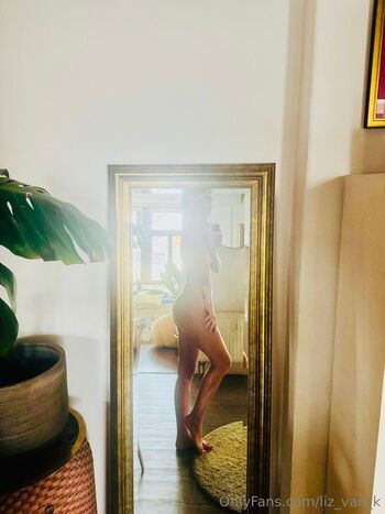 liz_van_k