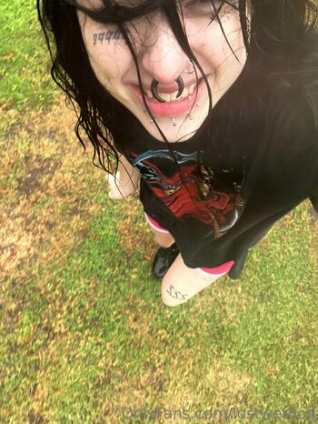 lostwetdog