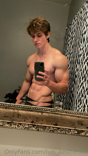 luis_aesthetics