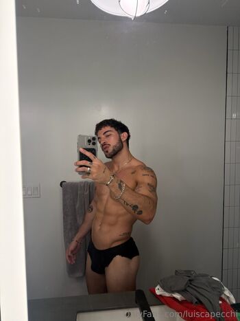 luiscapecchi