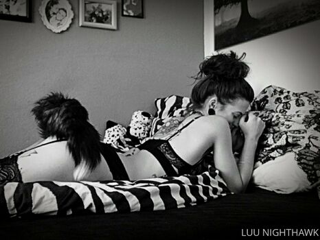 luu_nighthawk