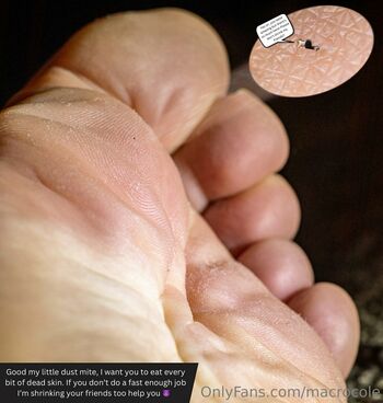 macrocole