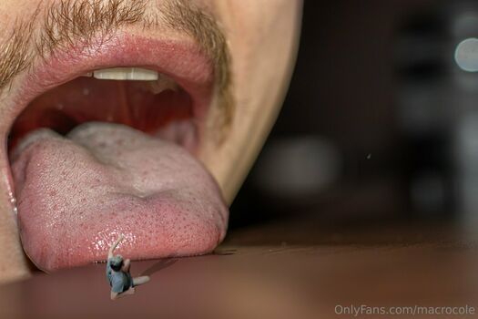 macrocole