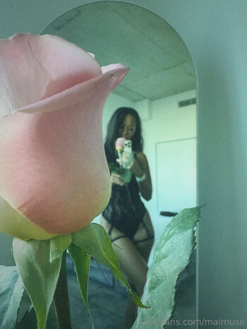 maimuse