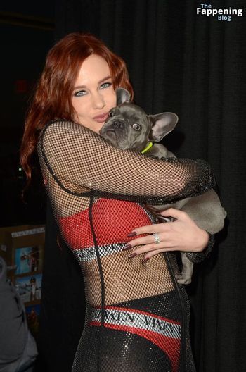 Maitland Ward