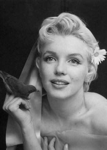 Marilyn Monroe