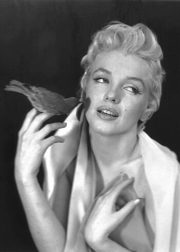 Marilyn Monroe