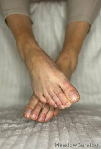 meadowbarefoot