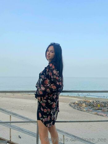 mee_zee
