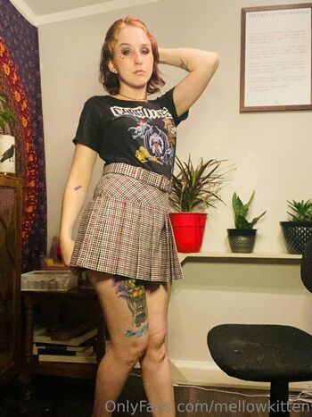 mellowkitten